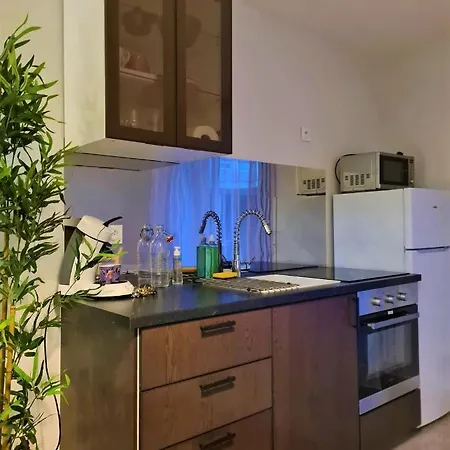 Apartment Grand Lyon Proche Metro - Wifi